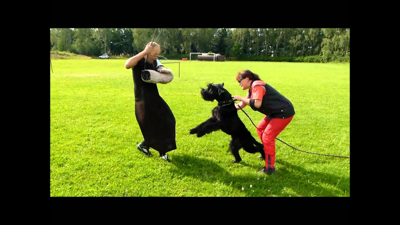 XYRANO Radinie - Schutzdienst 7/2012