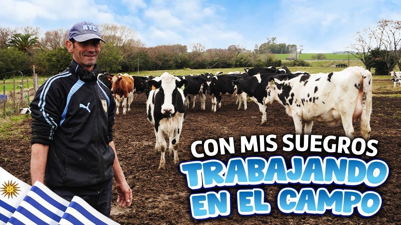 La Realidad del Trabajo Rural en Uruguay 🇺🇾 | Lechería y Campo