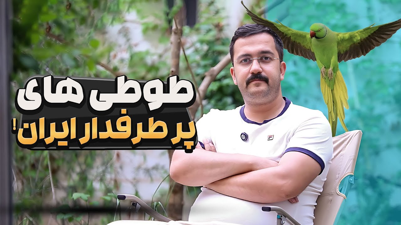 ۴ تا از محبوب‌ترین و خاص‌ترین طوطی‌های ایران