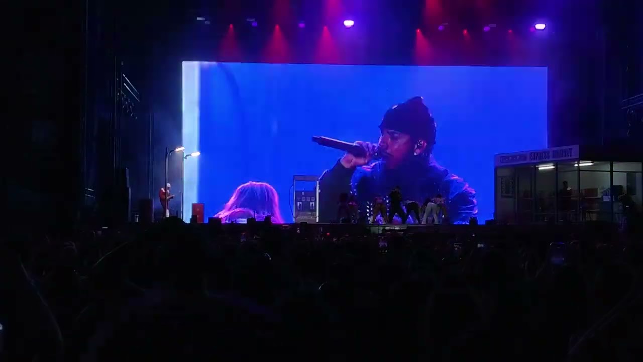 Young Cister 6 #Lollapalooza #lollacl #lollacl2026 #lollapalooza2026 #Youngcister