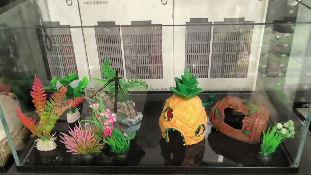 Не советую покупать Умный аквариум Xiaomi Mijia Smart Fish Tank MYG100