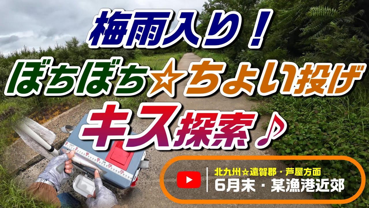 梅雨入り❗ぼちぼち☆ちょい投げ✨️キス探索🎵