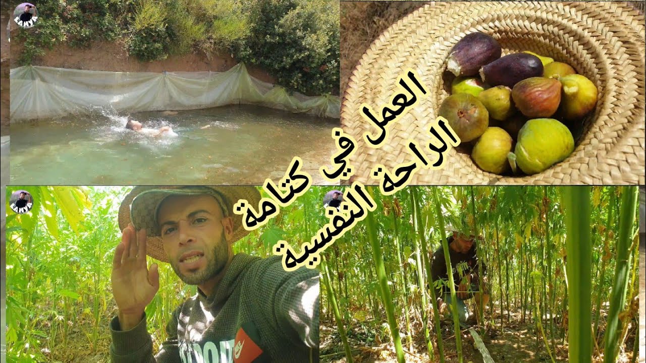 كتامة العمل في السقي والإستمتاع بالطبيعة والمناظر الخلابة ketama