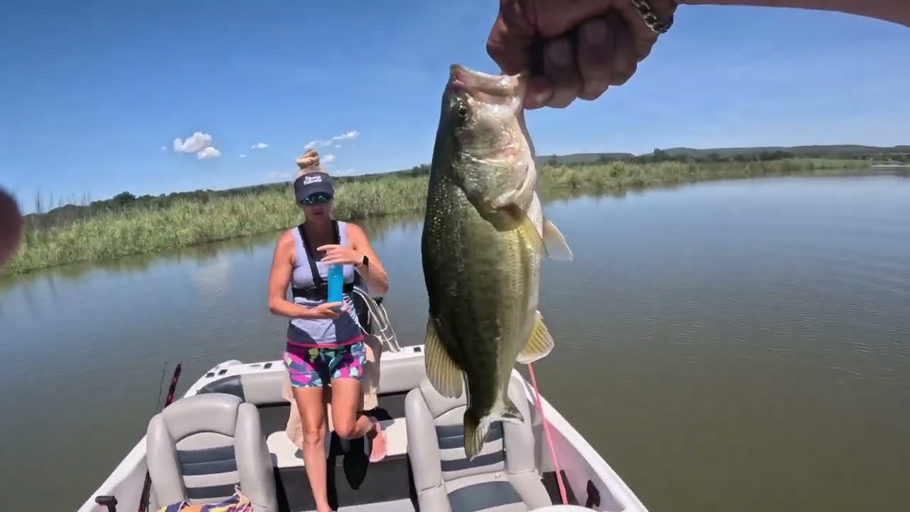 3 Double Ups Koster Bass Fishing