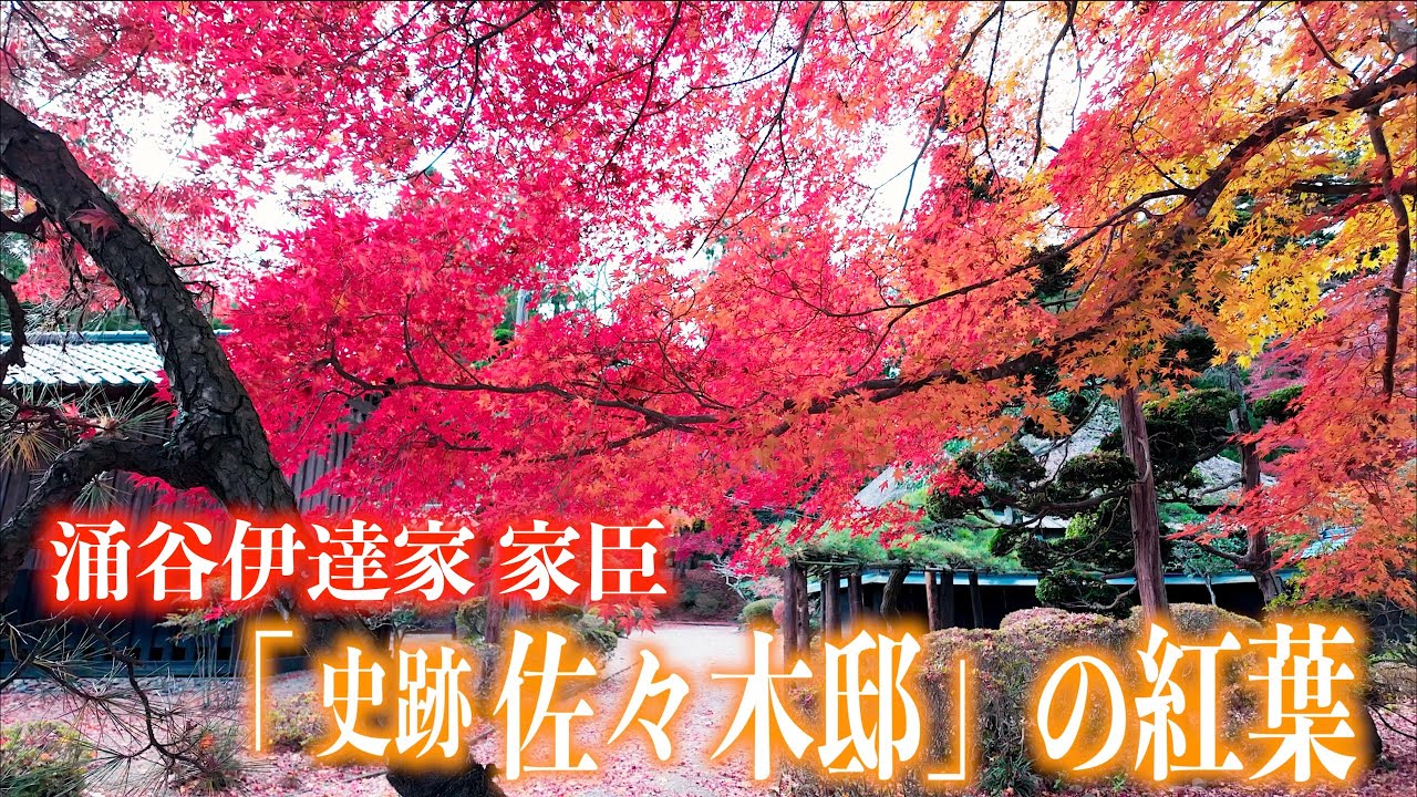 「涌谷町指定文化財 佐々木邸庭園の紅葉」- 宮城県涌谷町 - 2024/11/24