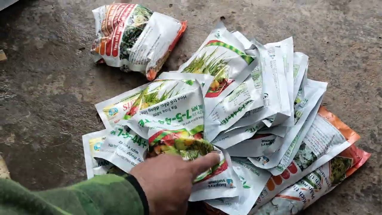 Nước chốt cuối cùng cho Thanh Hà và Vải Thiều.