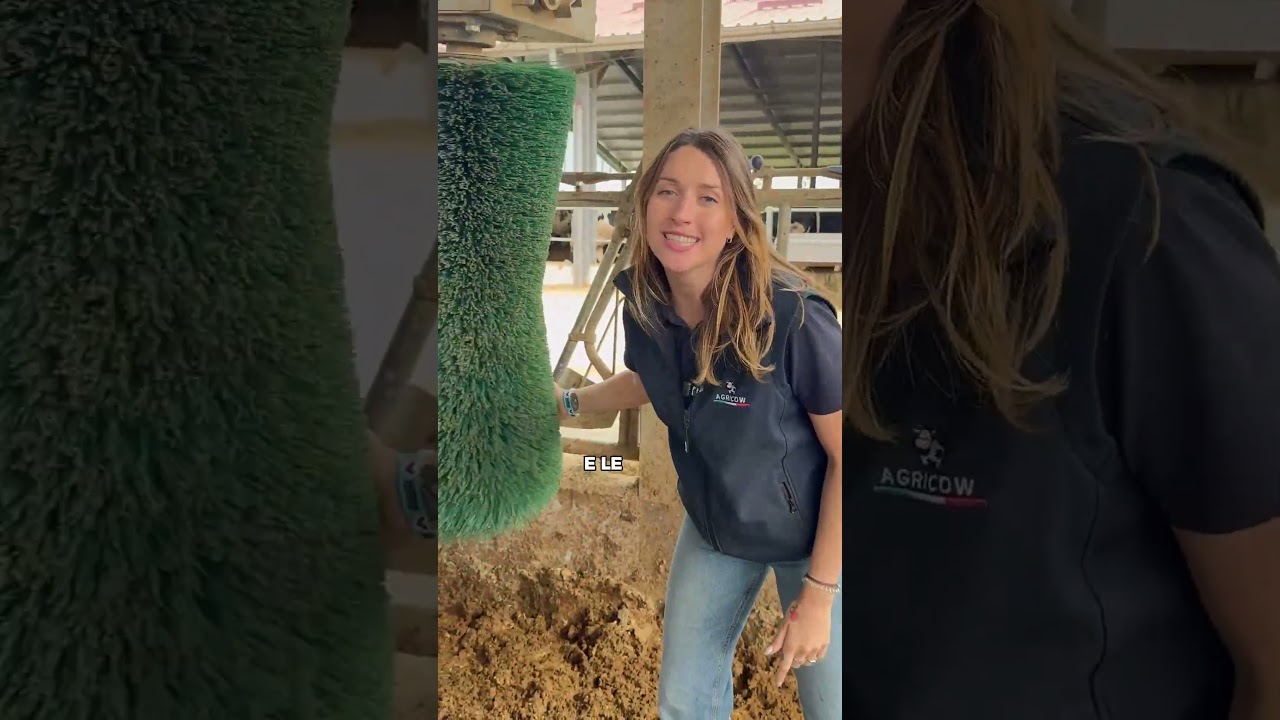 Sai perch&eacute; le vacche adorano grattarsi? 🐮