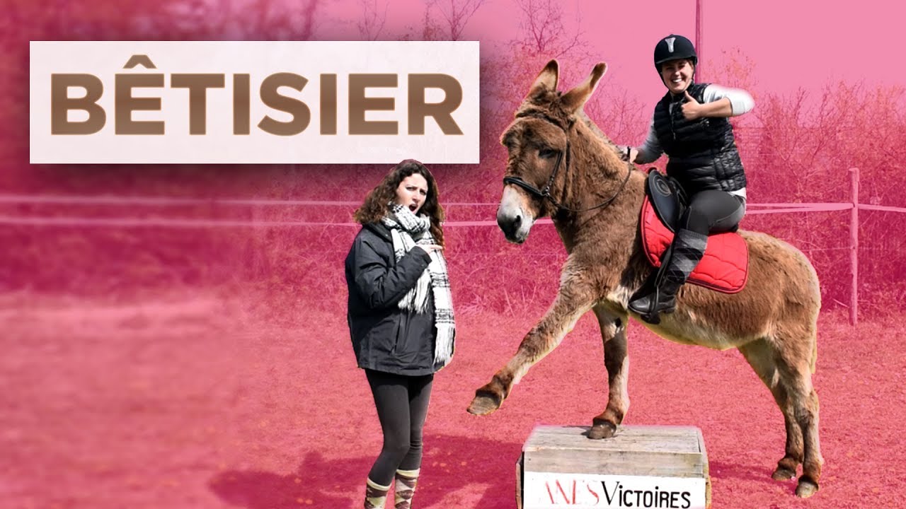 BÊTISIER - MARTYRISÉE PAR UN ÂNE !