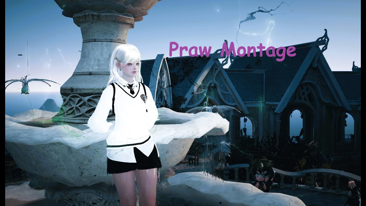 BDO Tamer Awakening PVP #9