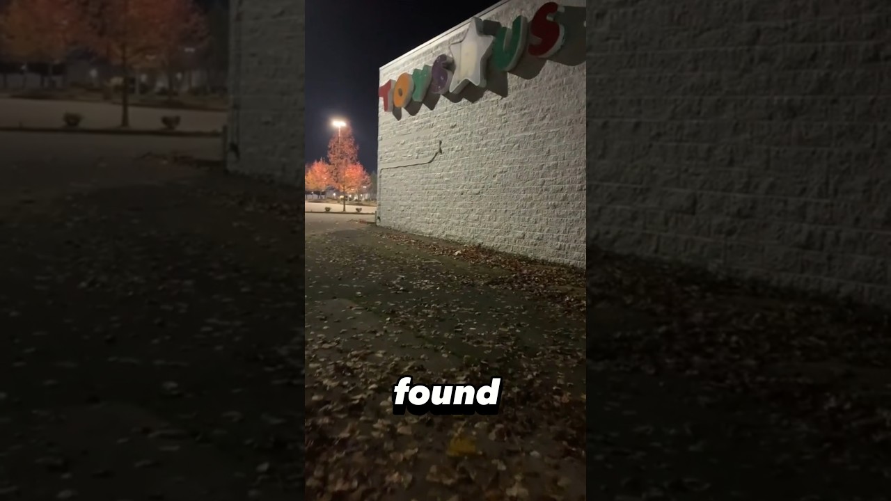 Брошенные игрушки R Us