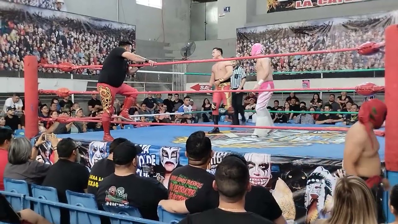 LOS AGENTES DE TRANSITO I,II Y III VS ZARZY TIGER, ARKANGEL JR Y ROBIN 