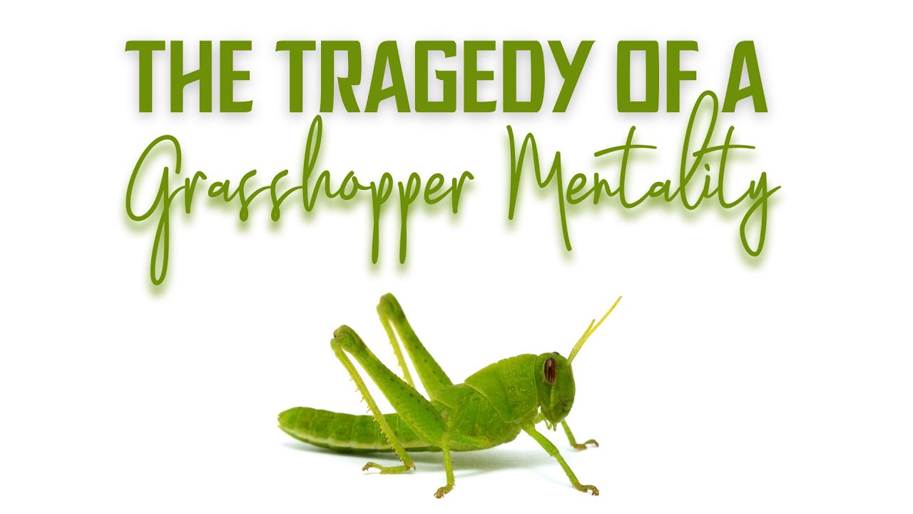 The Tragedy of a Grasshopper Mentality - Pastor Marshall Clack (Full Sermon)