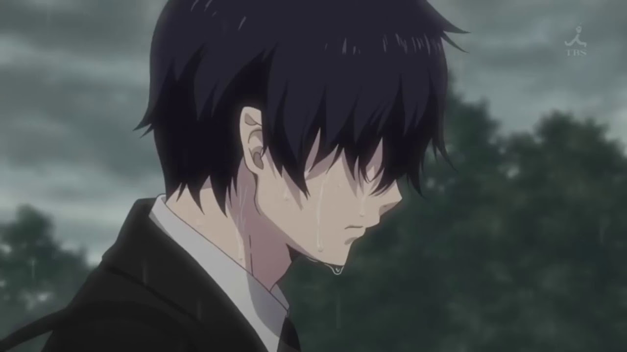 (This Side of Paradise) - Coyote Theory AMV