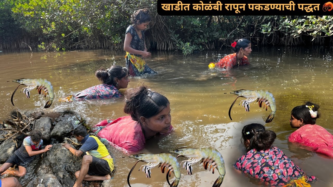 खाडीत चिखलातून रापून कोळंबी आणि खेकडे पकडण्याची पद्धत 🦀🦐🦀🦐|crab Catching 🦀