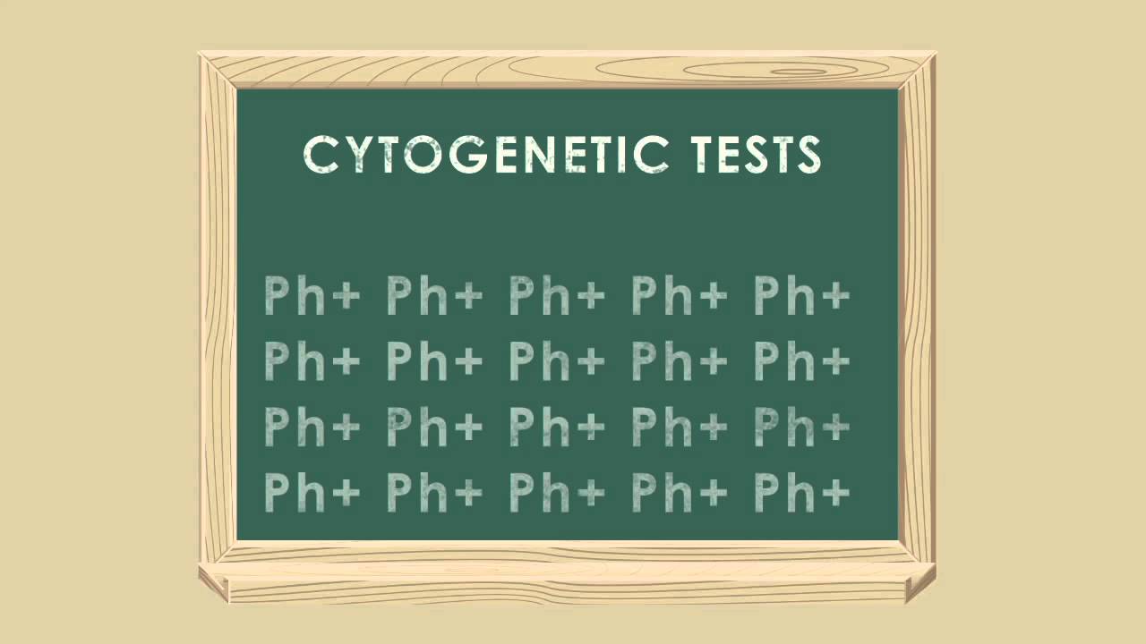 CML Patient Video: What you need to know about testing and monitoring