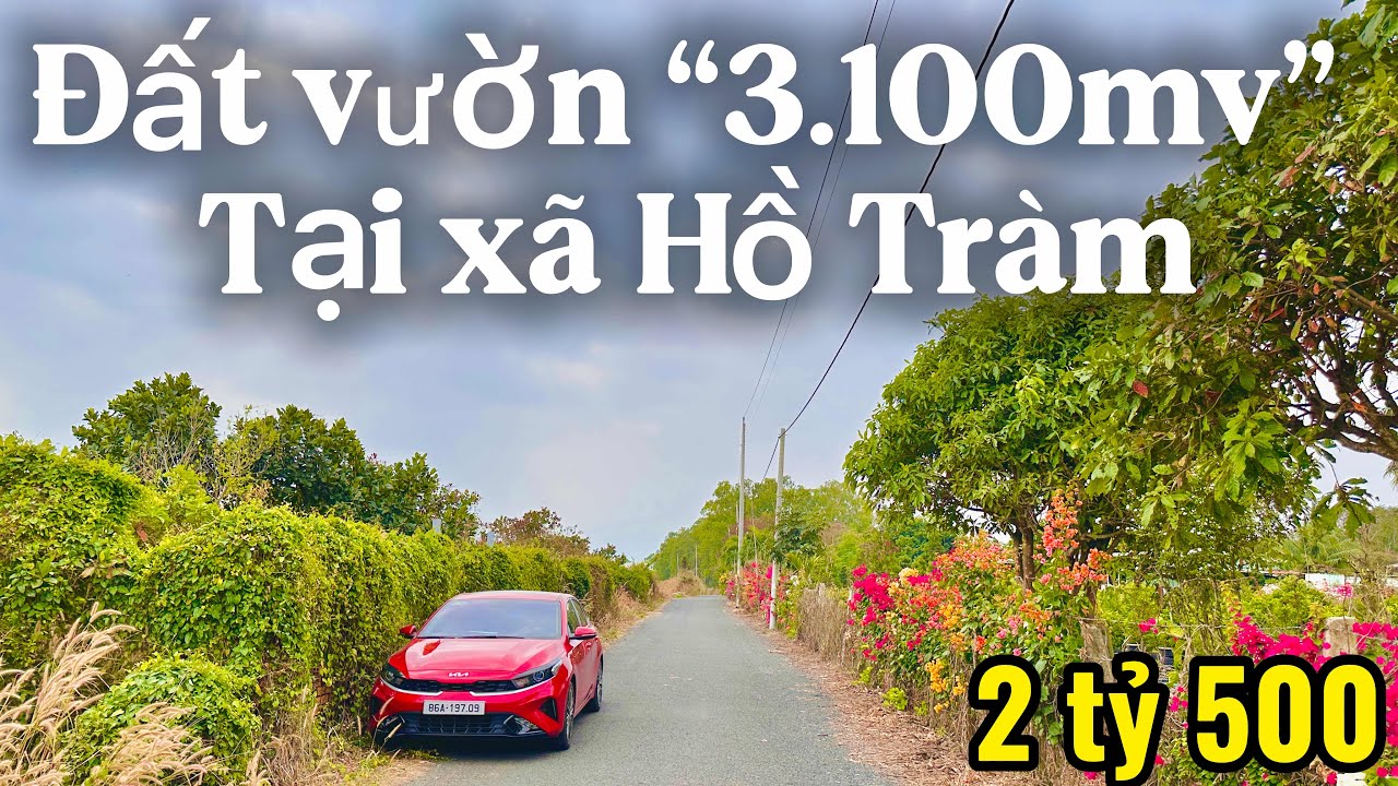 #592 Bán đất vườn giá cực rẻ tại xã Hồ Tràm, Xuyên Mộc, biển Hồ Tràm | Khu dân cư | Cao Tốc Hồ Tràm