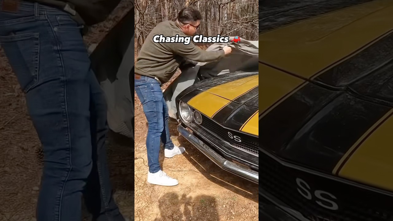 10+ Classic Cars hidden in the woods!!! go to our YouTube channel to watch the full video #bobevans