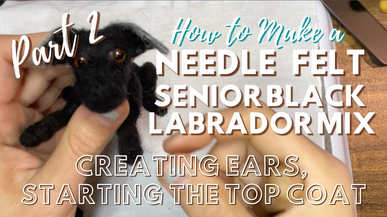 EYES/EARS/TOP COAT DETAILS | Needle felt an older dog - PART TWO