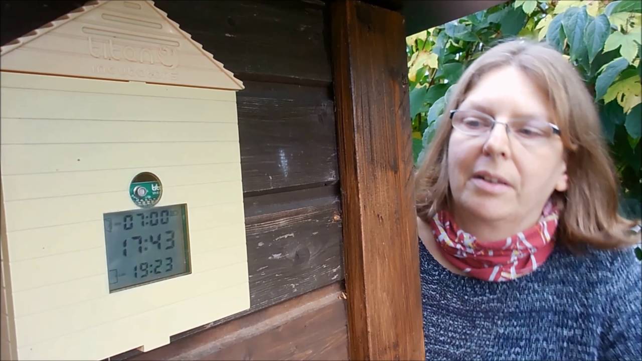 Hühnerhaltung im Hausgarten