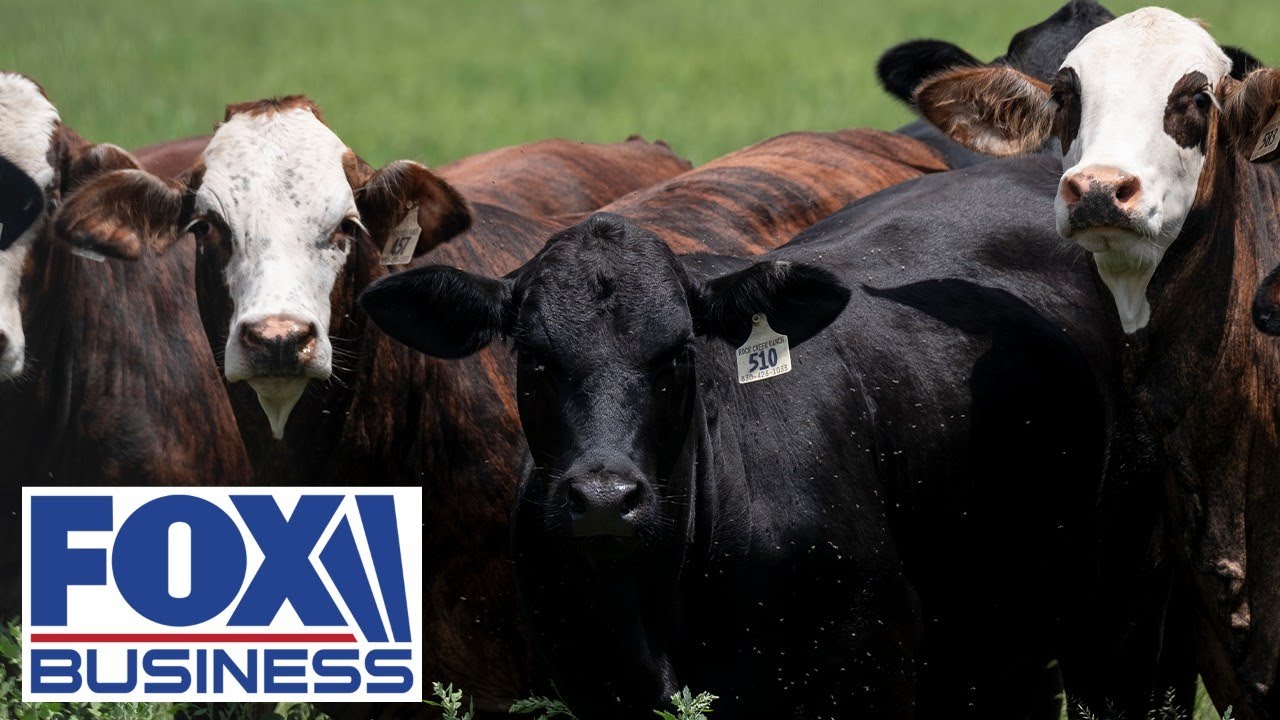 РЕАКЦИЯ НА ВСПЫШКУ: USDA принимает срочные меры после обнаружения мясной мухи