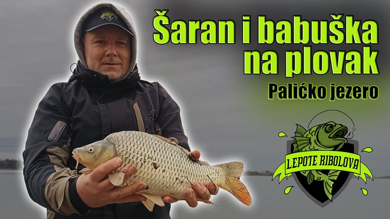 Zimsko pecanje šarana i babuške na plovak | Palićko jezero | Lepote Ribolova ep. 36