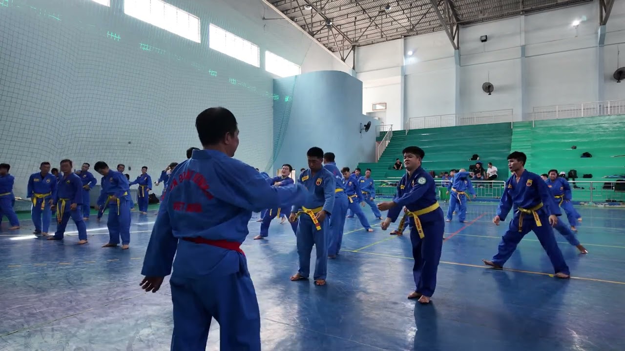 Việt Võ Đạo Quyền tập huấn cao đẳng năm 2024 Vovinam.