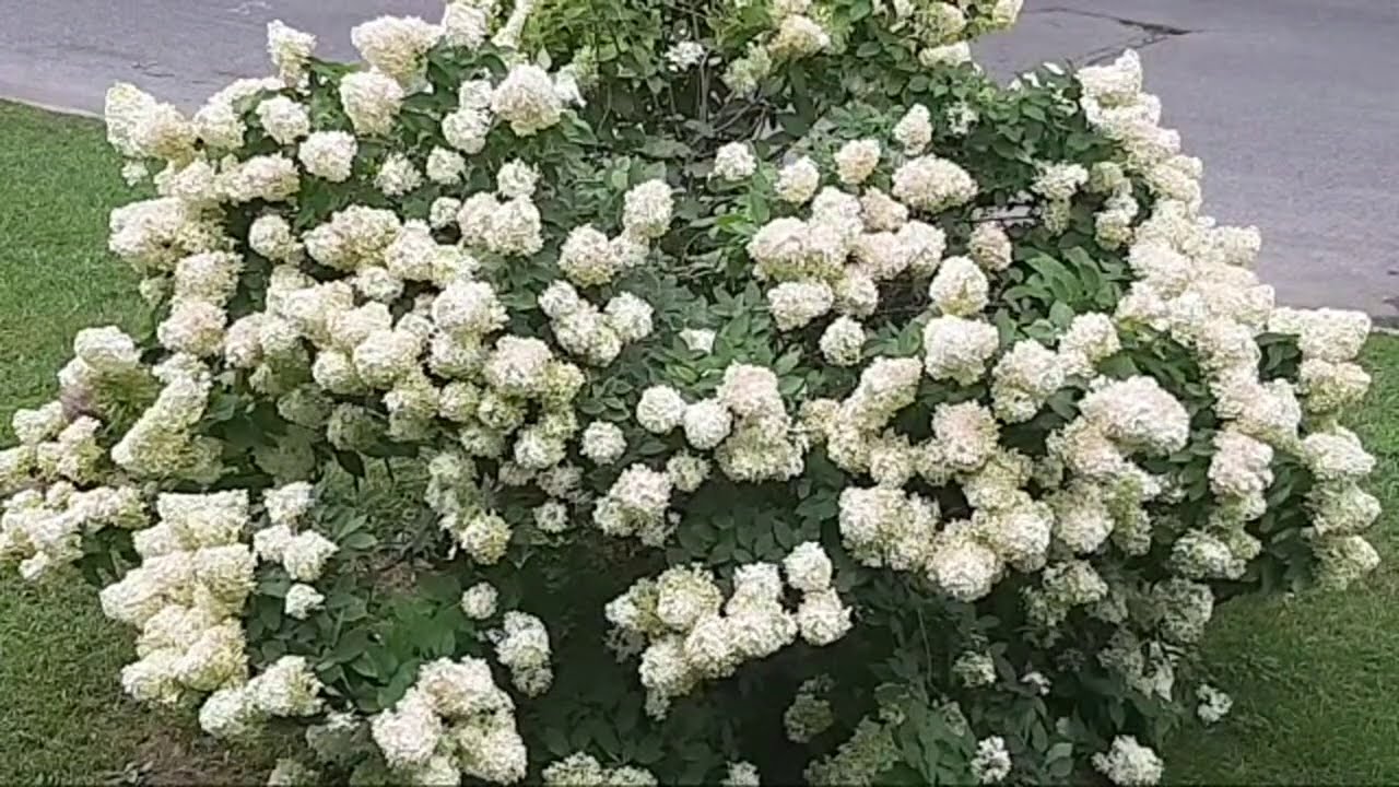 مرحبا بكم