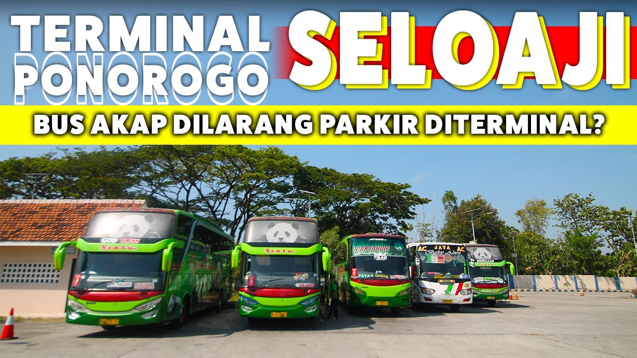 TERMINAL SELOAJI PONOROGO SEPI DARI BUS AKAP | BEBERAPA BUS MEMILIH PARKIR DILUAR TERMINAL⁉️