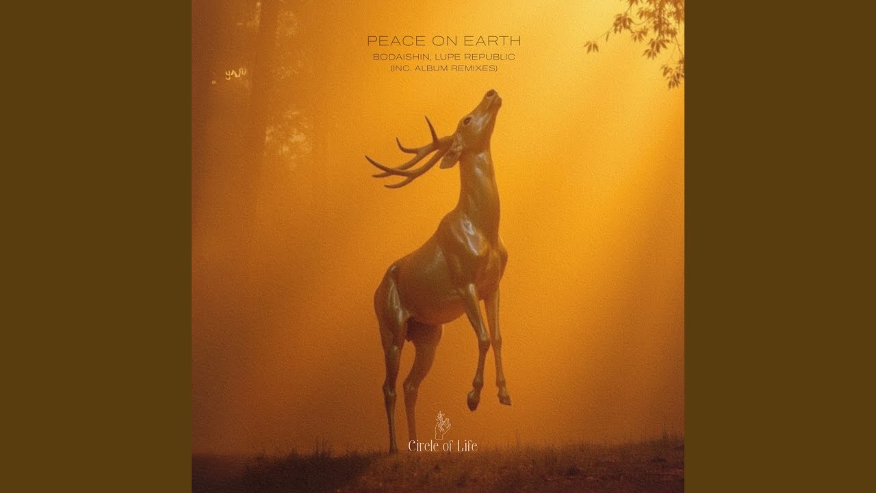Peace on Earth (Pumbum Remix)