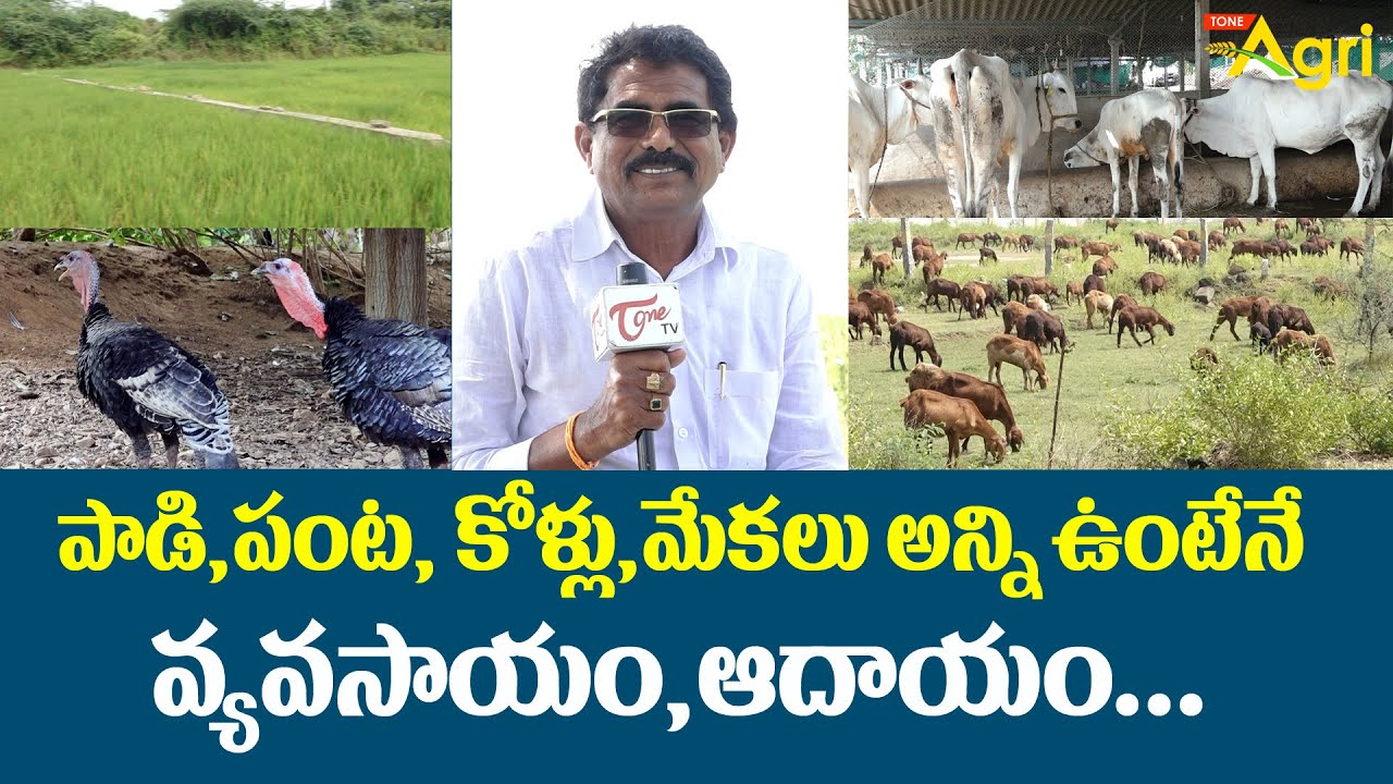 Integrated Farming System Profits | పాడి, పంట, కోళ్లు, మేకలు అన్ని ఉంటేనే వ్యవసాయం, ఆదాయం Tone Agri