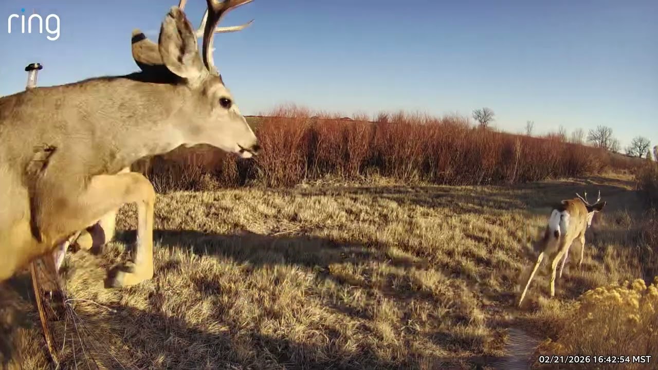 Tomky Wildlife Reserve 