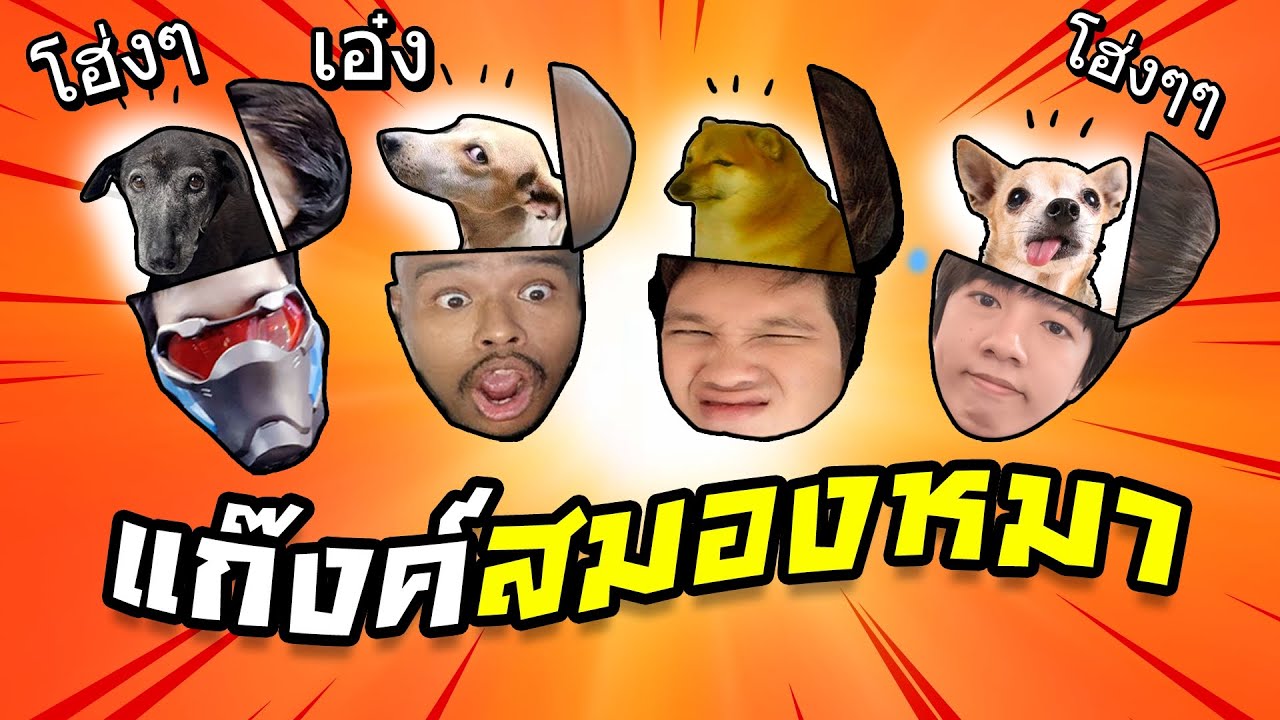 4 ราชา สมองหมา ปัญญาควาย มีอยู่จริง - BattleGround PUBG Ft.OpzTv