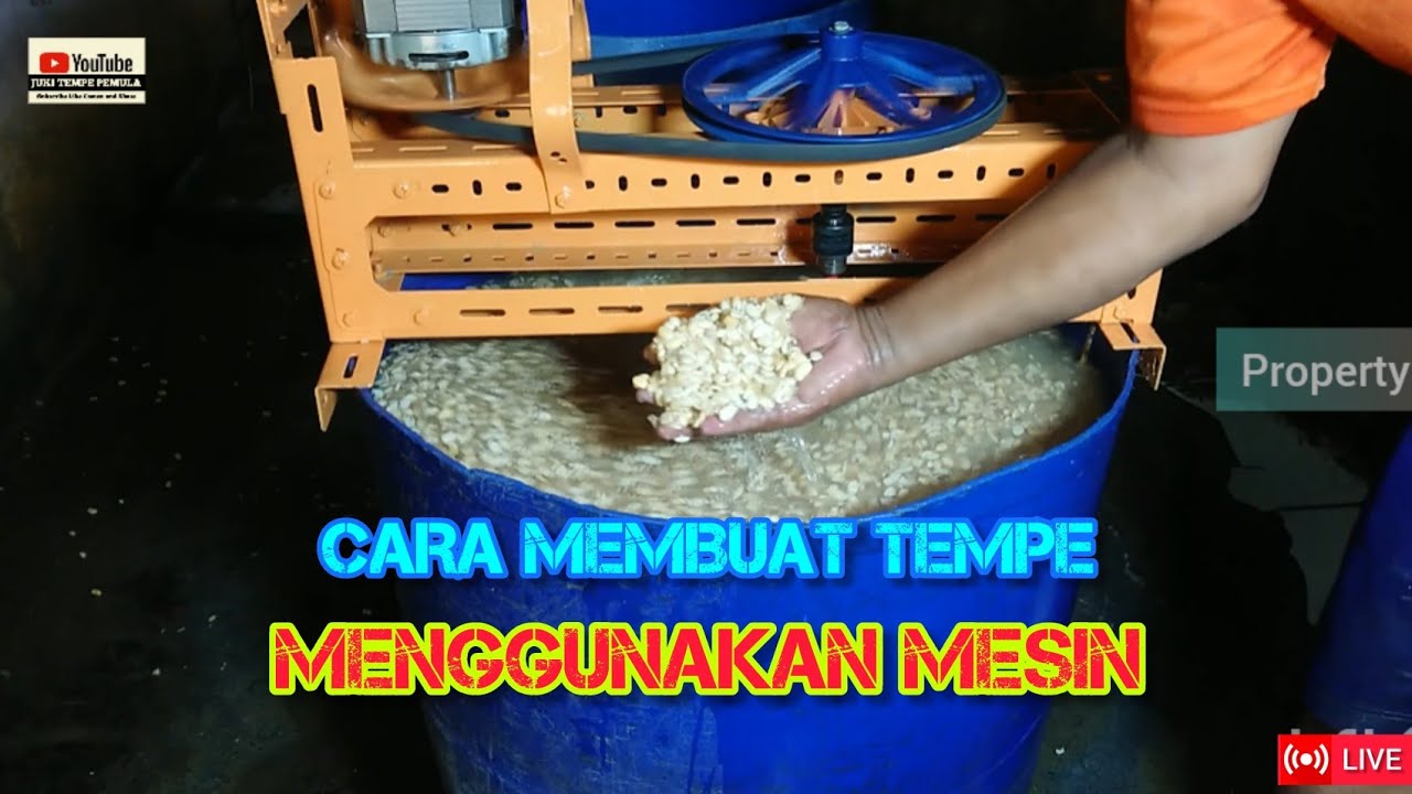 Tutorial Cara Membuat Tempe Menggunakan Mesin skala Rumahan