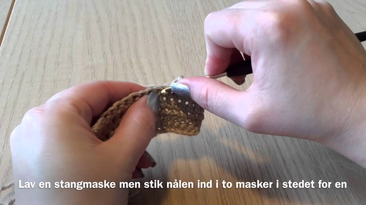 h&aelig;kle guide: indtagning