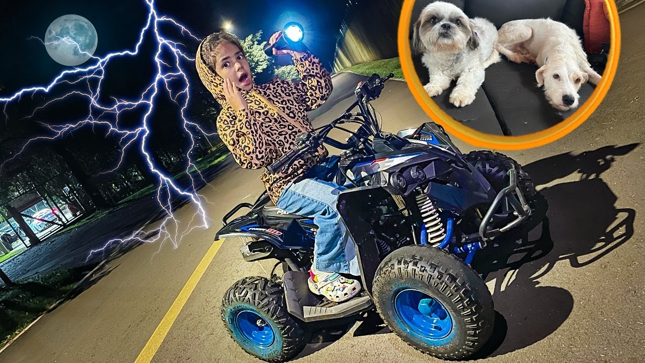 MEUS CACHORROS ESTÃO DESAPARECIDOS * VOU COMEÇAR A BUSCA DE QUADRICICLO