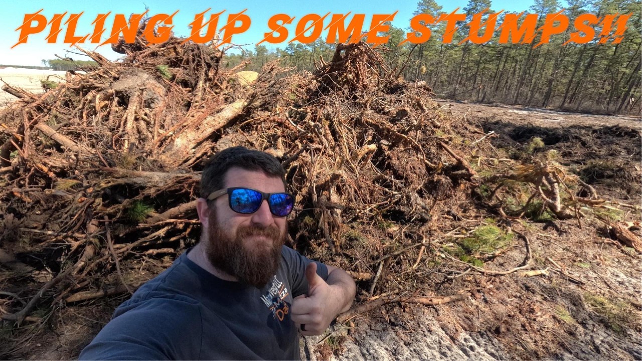 Piling Up Some Stumps!
