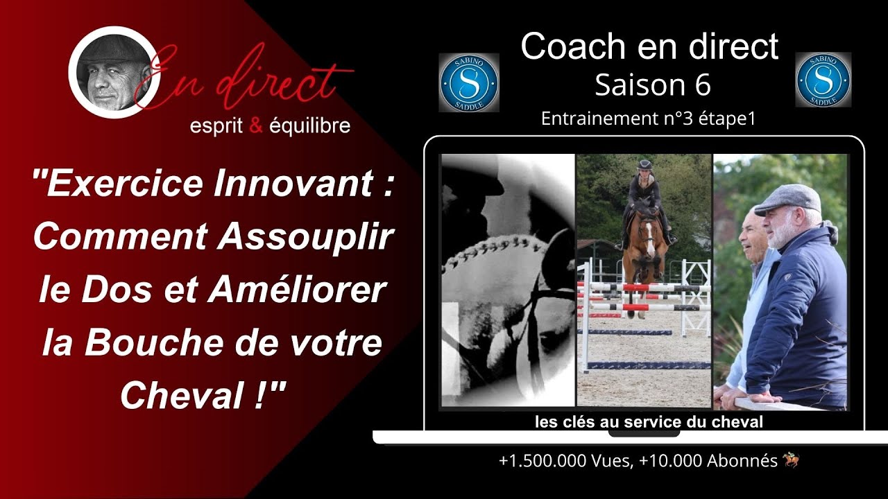 Exercice innovant : Comment Assouplir le Dos et Améliorer la Bouche de votre Cheval!