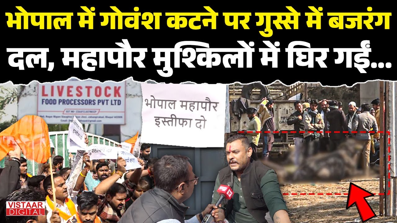 Bhopal में गोवंश कटने पर गुस्से में Bajrang Dal, महापौर मुश्किलों में घिर गईं | Slaughter House