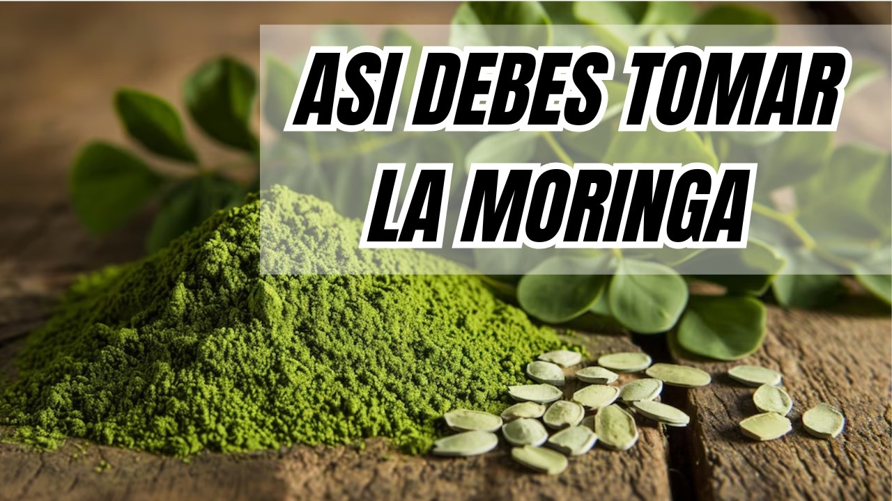 MORINGA | SUPER DEFENSAS PARA TU CUERPO