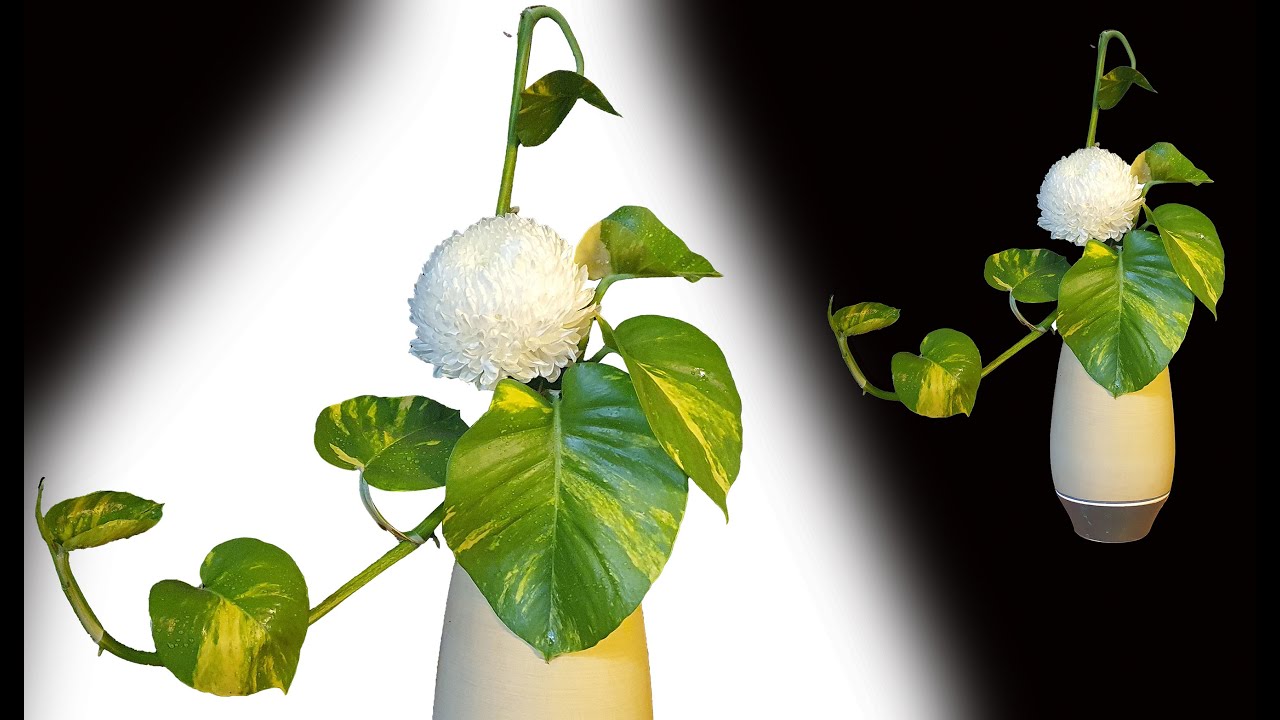 Cắm Hoa Phòng Khách – Đơn Giản – Nhanh Chóng – Rất Đẹp.