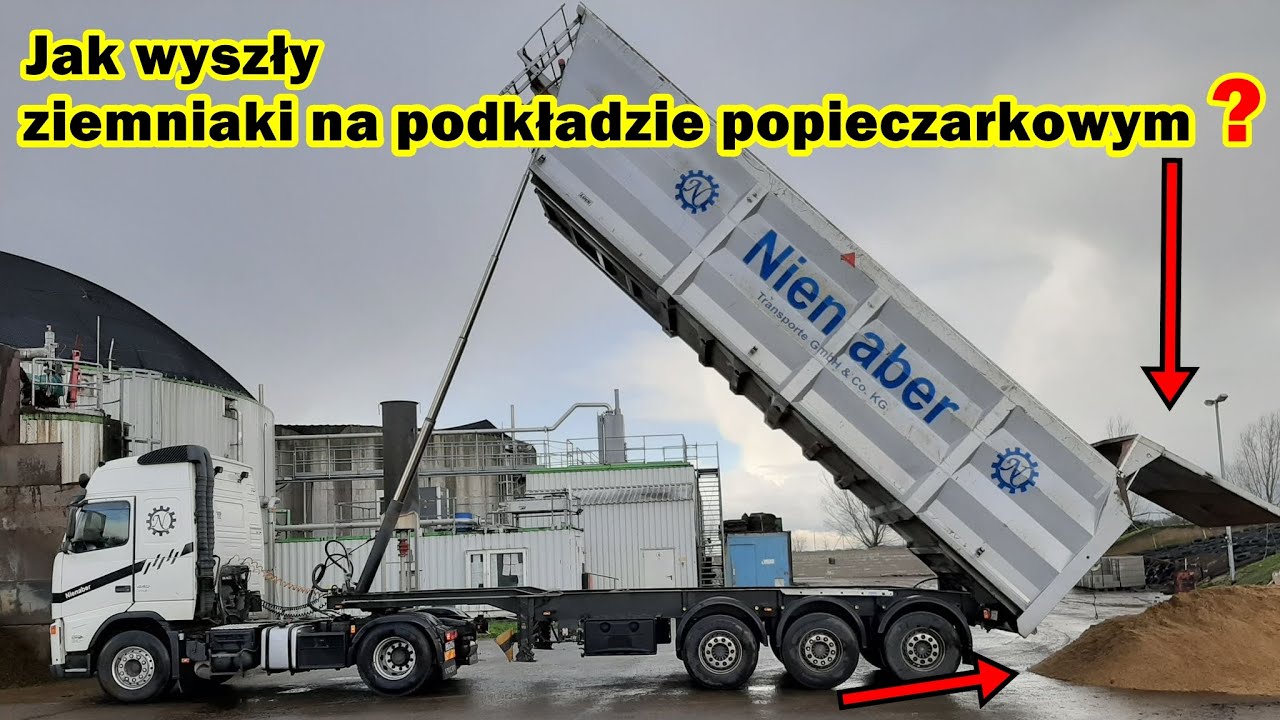 Jak wyszły ziemniaki na podkładzie po pieczarkowym | różnice i średnia wydajność | Agro-dzień |