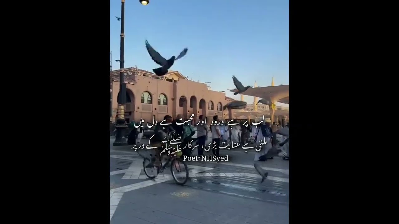 سرکار ﷺ کے در پر