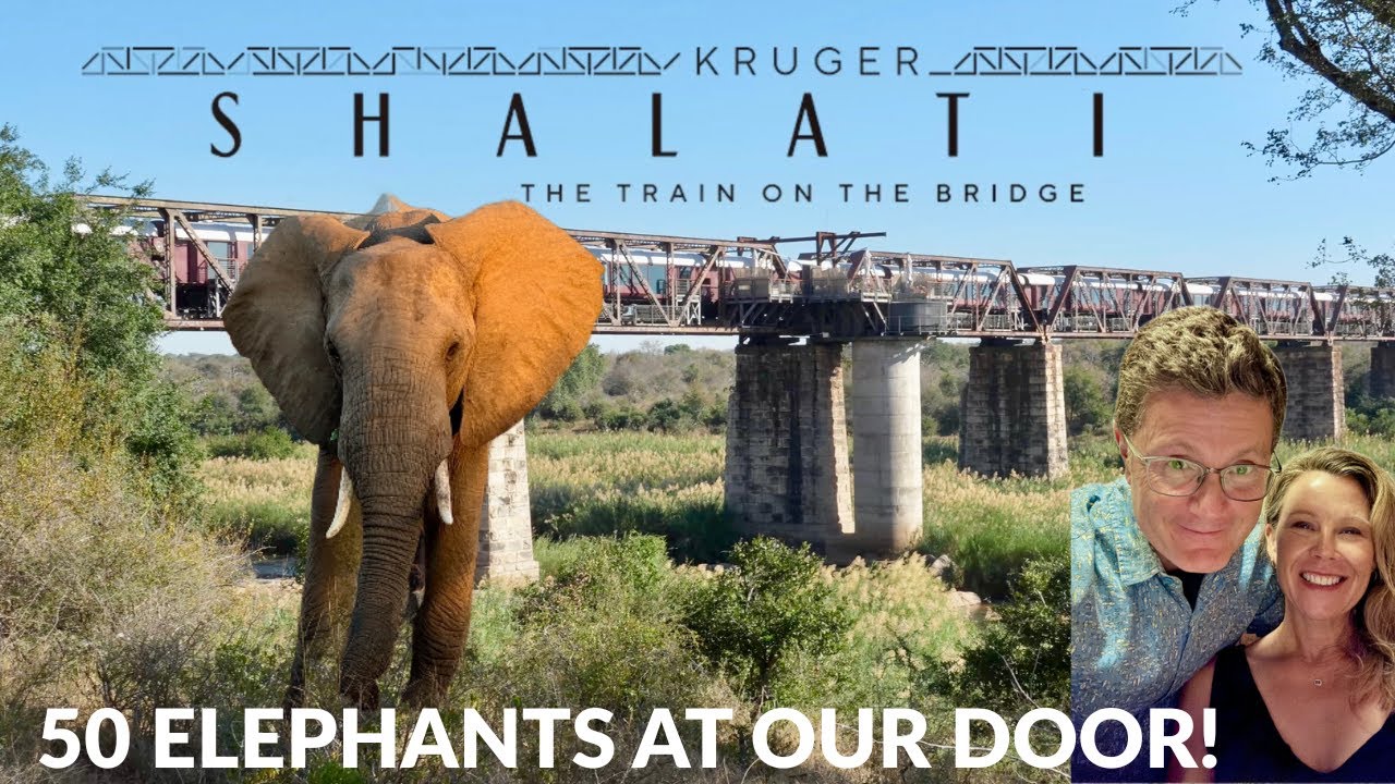 Sleeping With Elephants at Kruger Shalati Train on a Bridge - Ultimate Safari Lodge Review 🐘🇿🇦