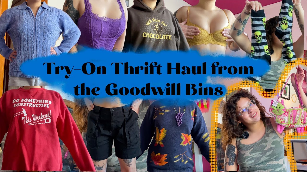 Try On Thrift Haul from the Goodwill Bins