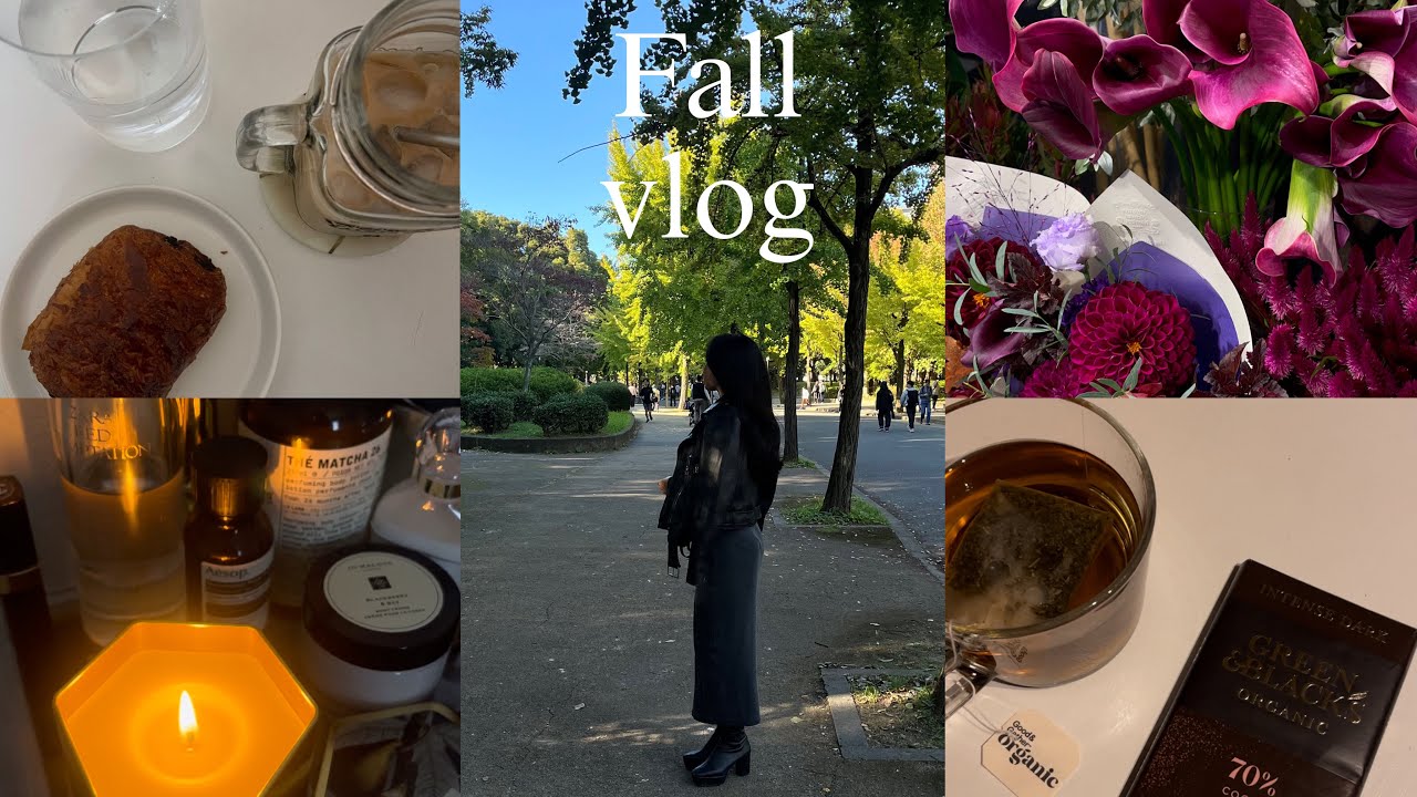 fall vlog☕️🍂｜daily vlog, uni, study, 大学生の日常､秋の楽しみ