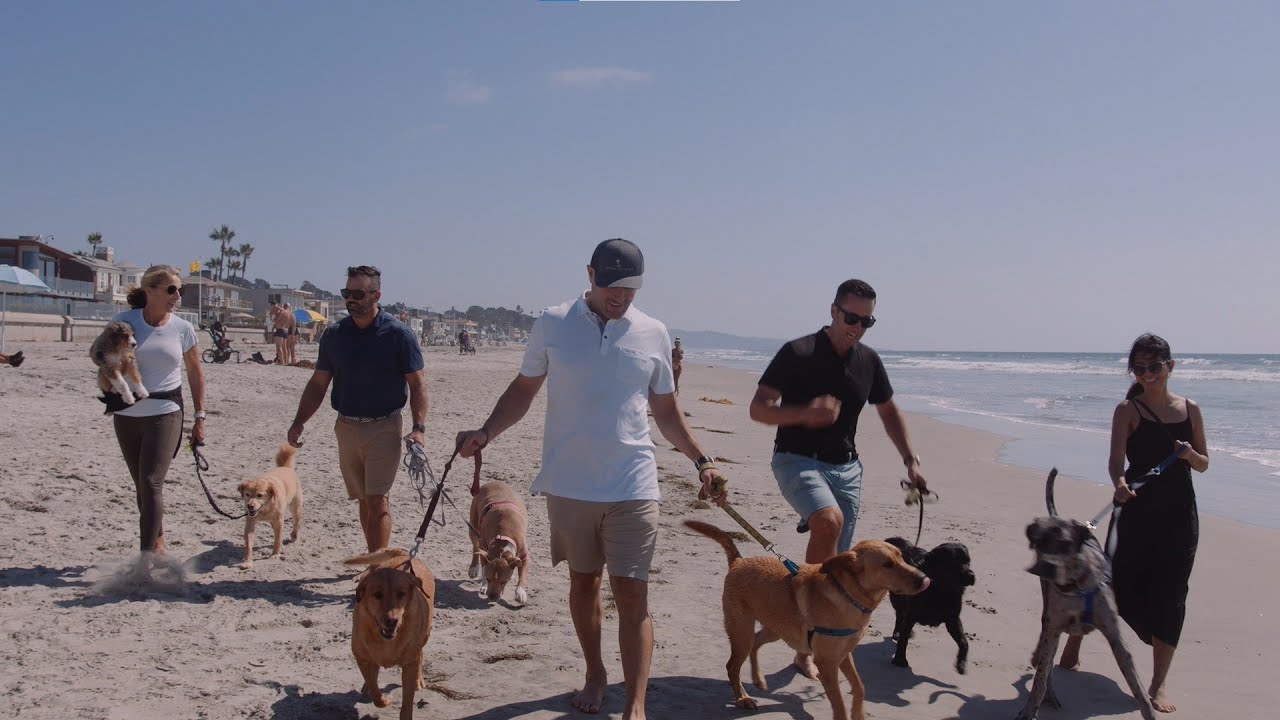 Explore Del Mar Dog Beach with Barry Estates