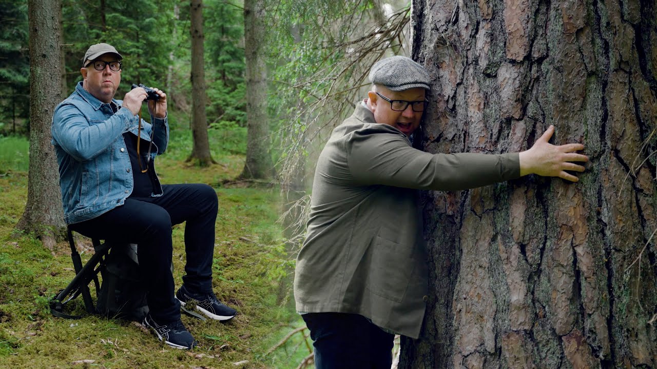 Är det skillnad på skog och skog? | Anders Jansson och Stortallen