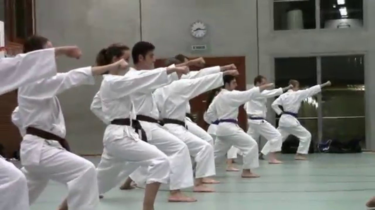 Karate Kampfsportschule Aarau