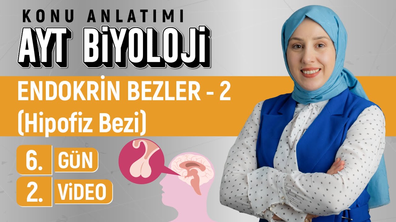 Endokrin bezler - 2 (Hipofiz bezi) - 6.Gün - 2.Video | 50 Günde AYT Biyoloji Kampı|Kuvvetli Biyoloji