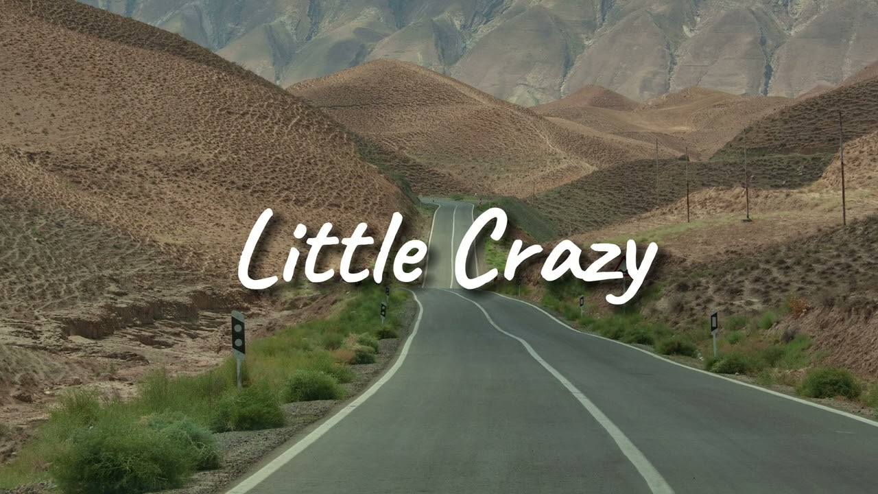 [FREE] Morgan Wallen x BigXThaPlug Country Trap Type Beat | little crazy